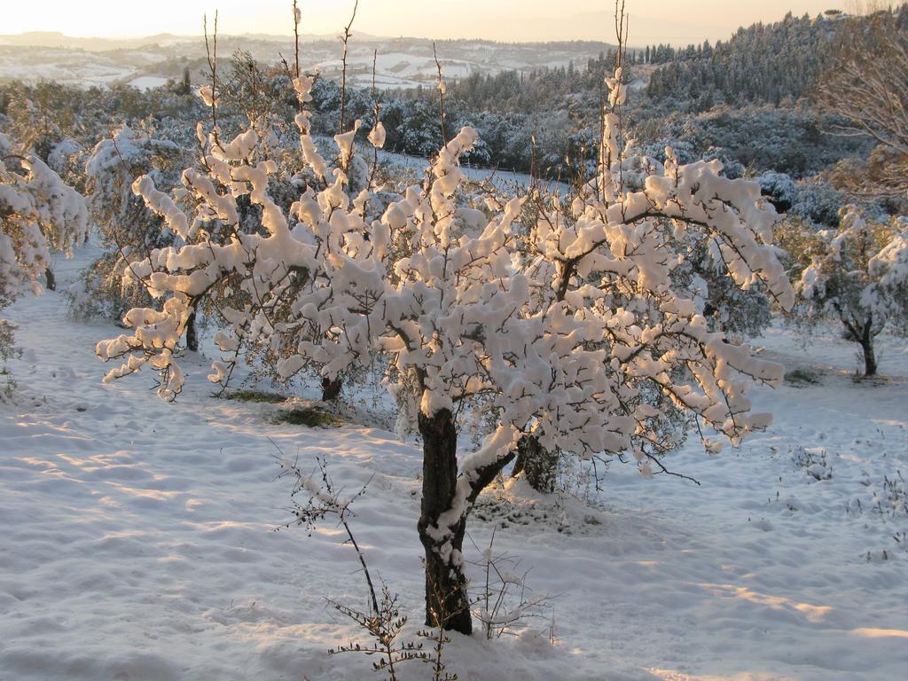 Agriturismo Martignana Alta Empoli Esterno foto