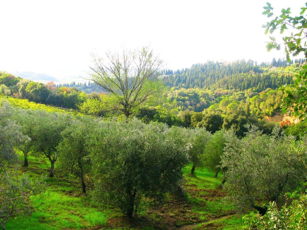 Agriturismo Martignana Alta Empoli Esterno foto