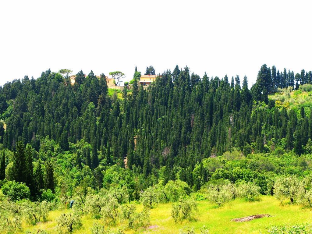 Agriturismo Martignana Alta Empoli Esterno foto
